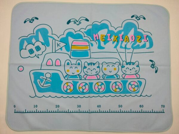 cat boat