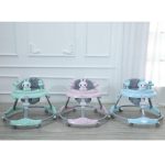 Educational Learning Walker