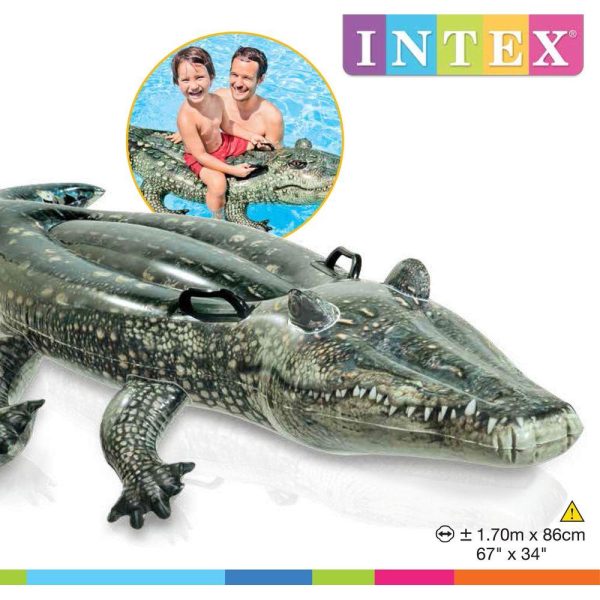 Crocodile Swimming Pool - Image 2