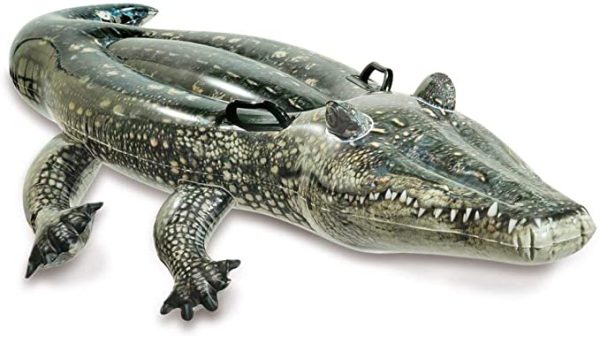 Crocodile Swimming Pool - Image 4