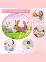 Kids Rabbit Pet Toys - Image 3