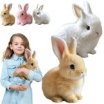Kids Rabbit Pet Toys